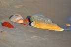 Firiplaka beach