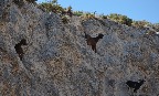 DSC_0177.JPG
