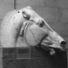 Афины готовы компенсировать Британскому музею возвращение украденных античных статуй