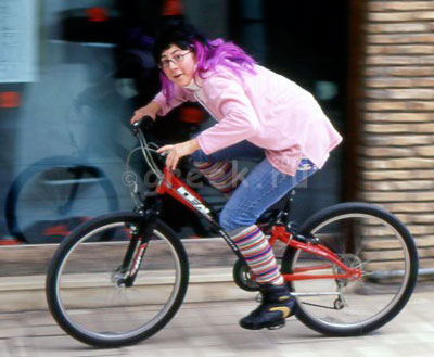 � ������ �������� ���������� ������ �����������