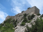 IMG_6942.jpg