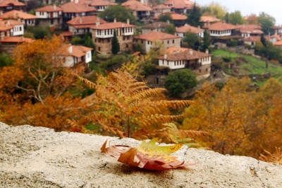 Осень в Греции! Создайте себе отпуск!