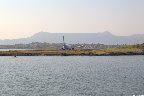 IMG_2622.jpg