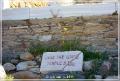 delos_32
