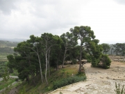 IMG_5840.JPG