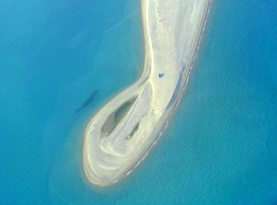 ���� �������� �� �-�� ��������� :: ������