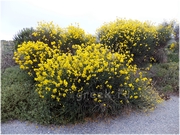 ������ ����� �� ������