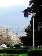 DSCN0971.JPG