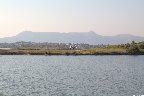 IMG_2619.jpg