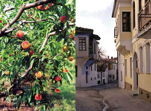 Праздник персиков ждет Вас с 6 по 8 июля в Козани в Греции!