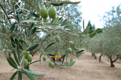 ��� ������: �� ��������� ������ ��������� �����