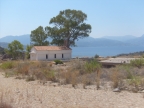 S6303293.JPG