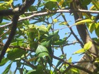 DSCN4025.JPG