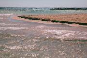 IMG_3473.jpg
