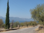 S6303231.JPG
