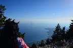 DSC_0239.JPG