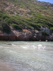 DSCN4685.JPG