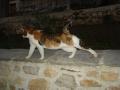 DSC04831.JPG