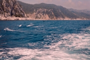 IMG_9788.jpg