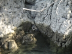 DSC01637.JPG