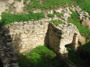 IMG_5823.JPG