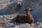 DSC_0169.JPG