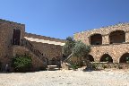 IMG_8602.jpg