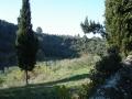 DSC04808.JPG