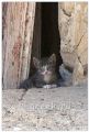 crete_preveli11