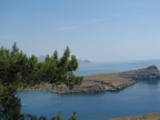 IMG_7161.jpg