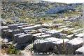 delos_18