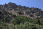 IMG_8551.jpg