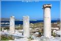delos_35