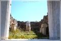 delos_40