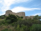 IMG_7001.jpg