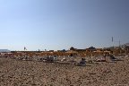 IMG_8486.jpg