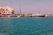IMG_9824.jpg