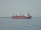 S6303032.JPG