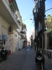 IMG_8039.jpg