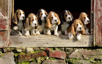 � �������������� ��������� ����� 18% ����������