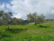 IMG_5780.JPG