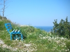 DSCN6109.JPG