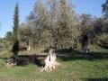 DSC04825.JPG