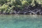 IMG_8554.jpg