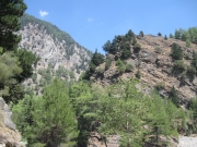 IMG_1243.JPG