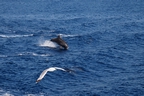 DSC_3904.jpg
