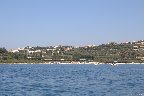 IMG_8565.jpg