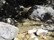 IMG_1200.JPG