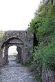 DSC_0223.JPG