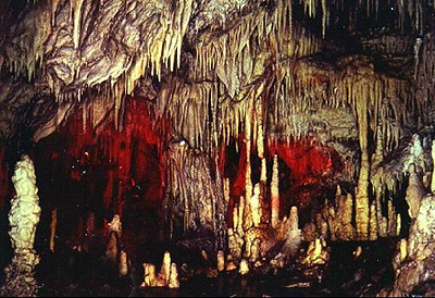 ��������� ����� ��������� ������� ����